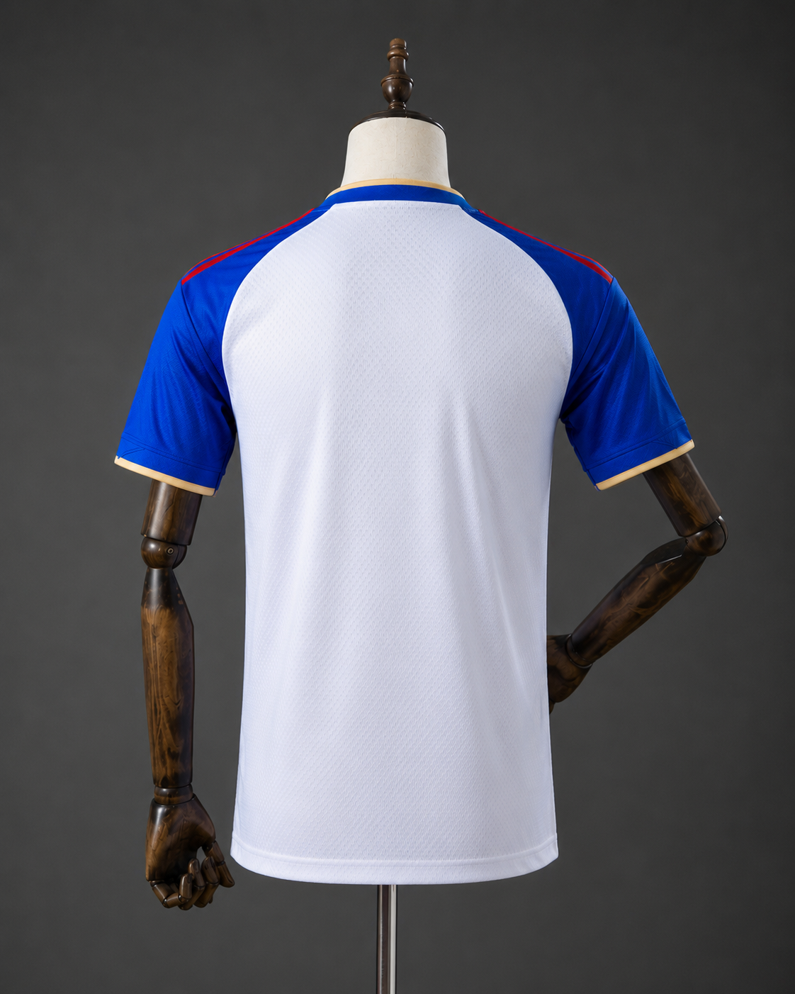 Olympique Lyonnais - Domicile (26/27)