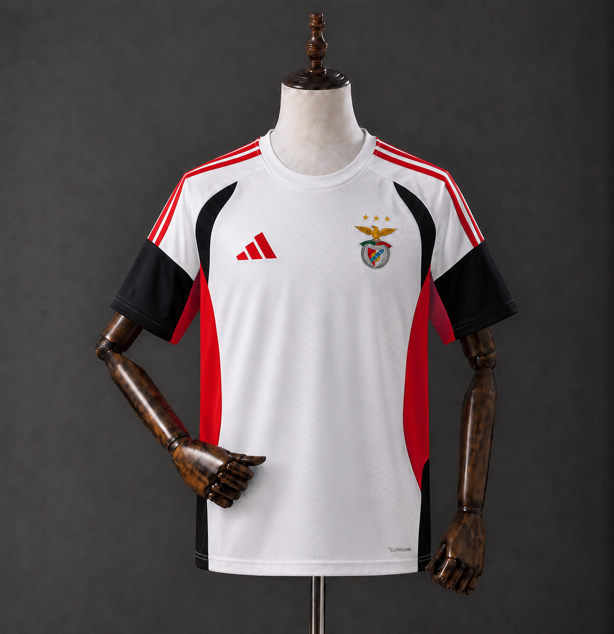 SLBenfica - Entrainement (26/27)